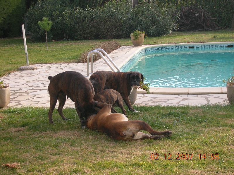 photos de famille...